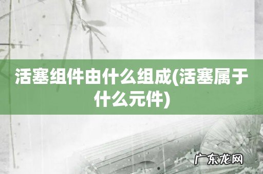 活塞属于什么元件 活塞组件由什么组成