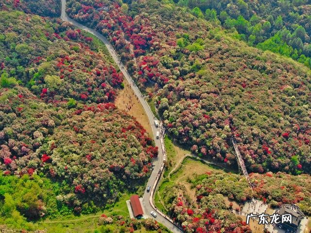 新疆四日游 4月旅游城市