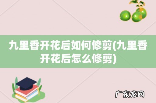 九里香开花后怎么修剪 九里香开花后如何修剪