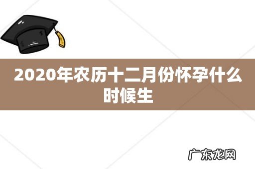 2020年农历十二月份怀孕什么时候生