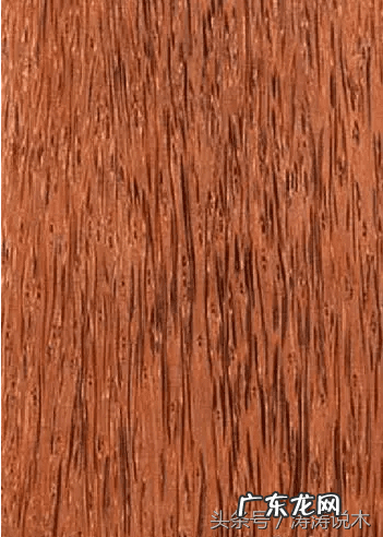 椰树木材可以做家具吗 椰子木的功效作用