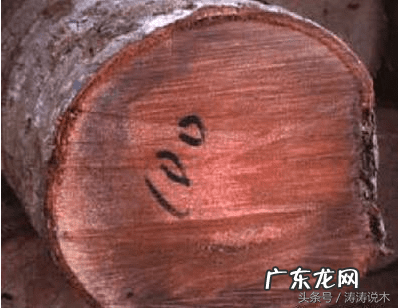 椰树木材可以做家具吗 椰子木的功效作用