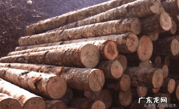 椰树木材可以做家具吗 椰子木的功效作用