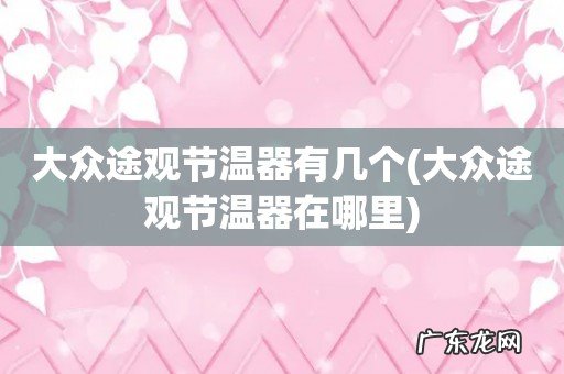 大众途观节温器在哪里 大众途观节温器有几个