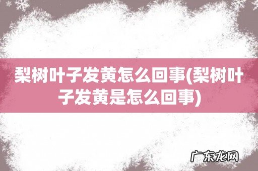 梨树叶子发黄是怎么回事 梨树叶子发黄怎么回事