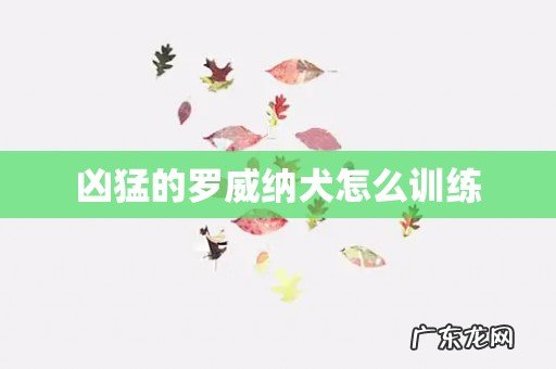 凶猛的罗威纳犬怎么训练
