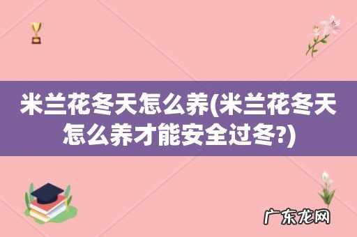 米兰花冬天怎么养才能安全过冬? 米兰花冬天怎么养