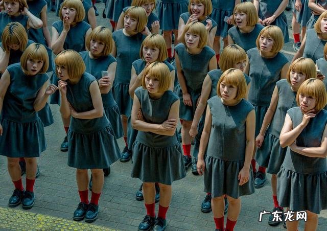 克隆技术有哪些具体应用 克隆技术