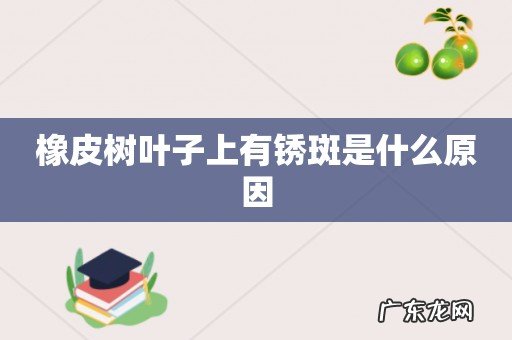 橡皮树叶子上有锈斑是什么原因