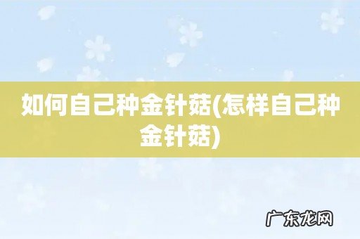 怎样自己种金针菇 如何自己种金针菇