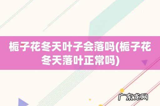 栀子花冬天落叶正常吗 栀子花冬天叶子会落吗