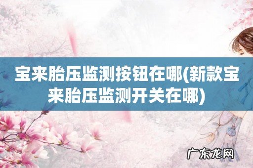 新款宝来胎压监测开关在哪 宝来胎压监测按钮在哪