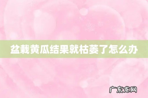 盆栽黄瓜结果就枯萎了怎么办