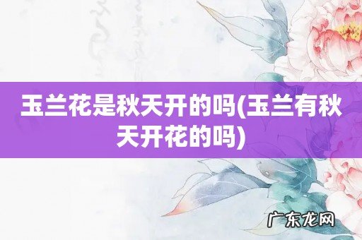 玉兰有秋天开花的吗 玉兰花是秋天开的吗