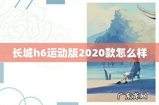长城h6运动版2020款怎么样