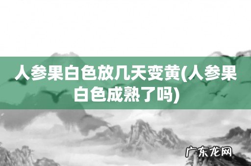人参果白色成熟了吗 人参果白色放几天变黄