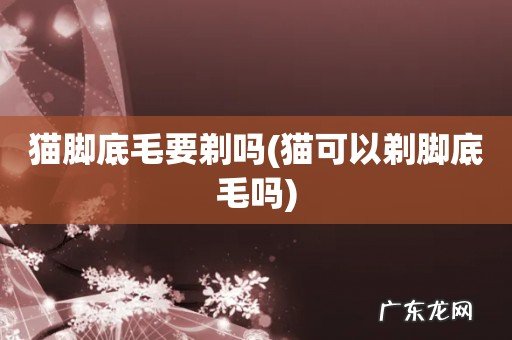 猫可以剃脚底毛吗 猫脚底毛要剃吗