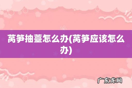 莴笋应该怎么办 莴笋抽薹怎么办