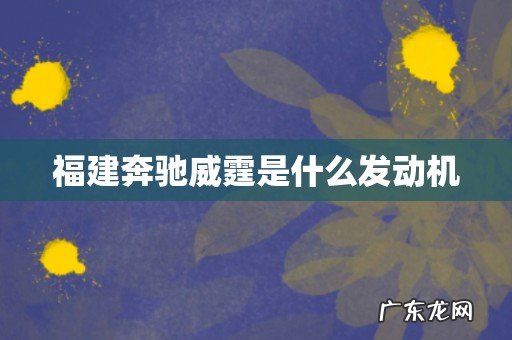 福建奔驰威霆是什么发动机