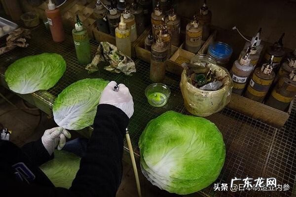 老鼠死在店里什么兆头 为什么门头风水属鼠的老掉魂