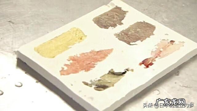 老鼠死在店里什么兆头 为什么门头风水属鼠的老掉魂