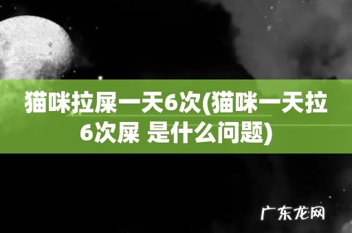 猫咪一天拉6次屎 是什么问题 猫咪拉屎一天6次