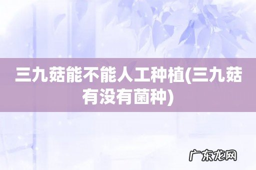 三九菇有没有菌种 三九菇能不能人工种植