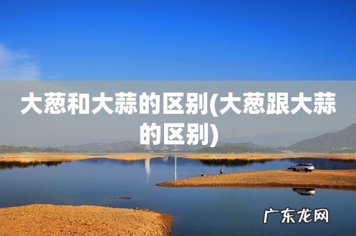 大葱跟大蒜的区别 大葱和大蒜的区别