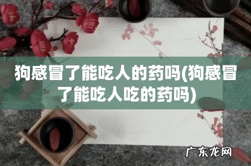 狗感冒了能吃人吃的药吗 狗感冒了能吃人的药吗