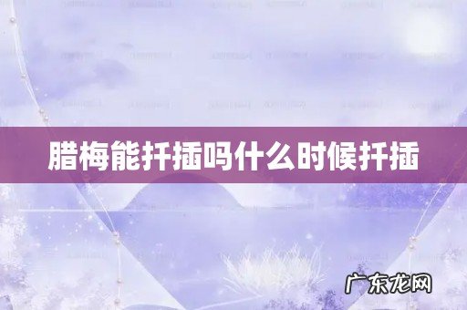 腊梅能扦插吗什么时候扦插