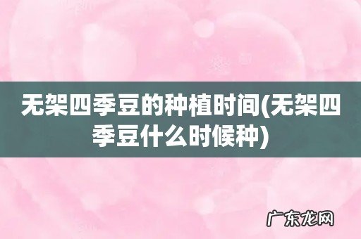 无架四季豆什么时候种 无架四季豆的种植时间