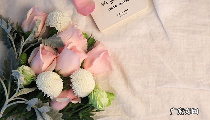 带酒的人生哲理句子有哪些？