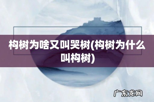 构树为什么叫构树 构树为啥又叫哭树