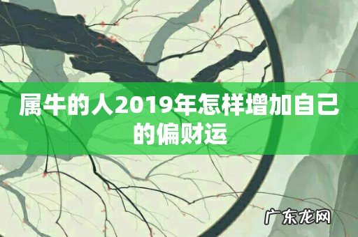 属牛的人2019年怎样增加自己的偏财运