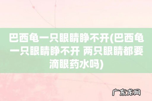 巴西龟一只眼睛睁不开 两只眼睛都要滴眼药水吗 巴西龟一只眼睛睁不开