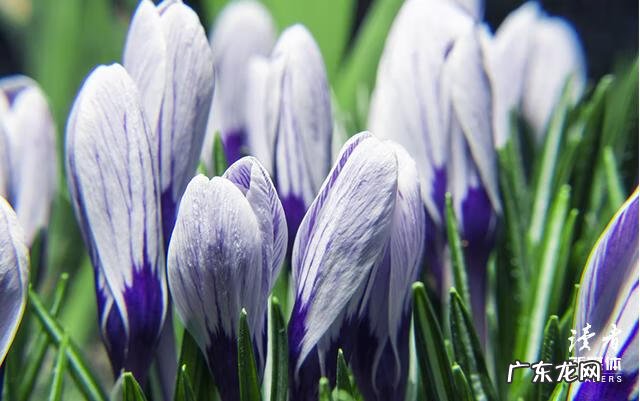 书籍是什么的营养品 书籍是全世界的营养品是谁说的