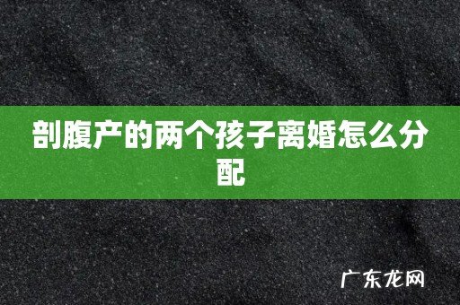 剖腹产的两个孩子离婚怎么分配