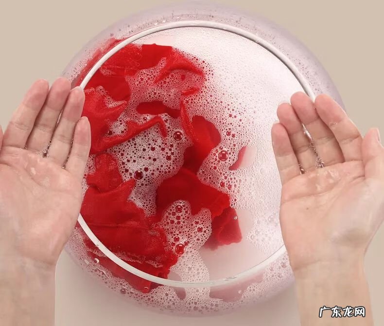 黑金锦鲤图片 黑金锦鲤鱼风水作用