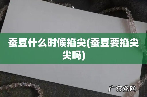 蚕豆要掐尖尖吗 蚕豆什么时候掐尖