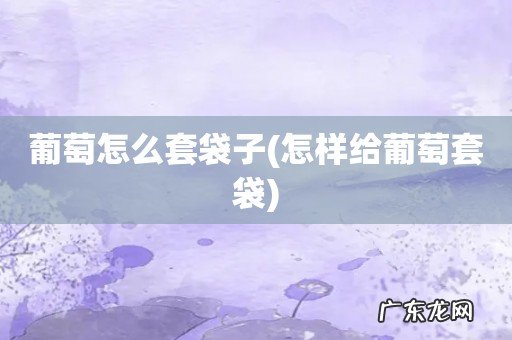 怎样给葡萄套袋 葡萄怎么套袋子