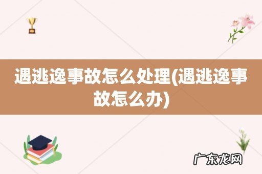 遇逃逸事故怎么办 遇逃逸事故怎么处理