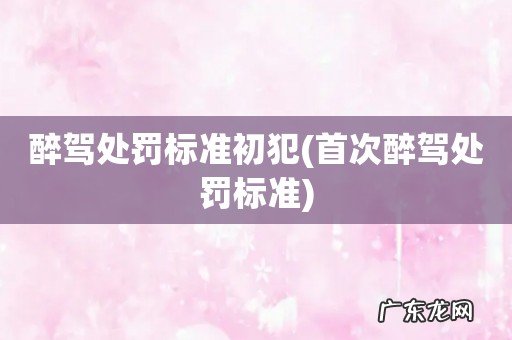 首次醉驾处罚标准 醉驾处罚标准初犯