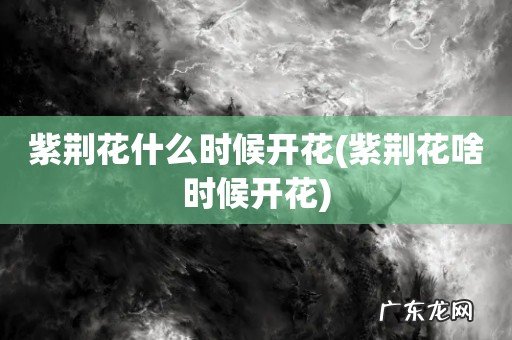 紫荆花啥时候开花 紫荆花什么时候开花