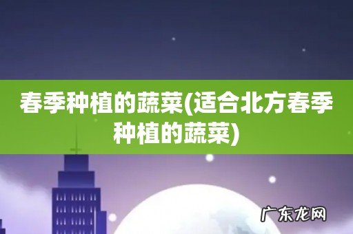 适合北方春季种植的蔬菜 春季种植的蔬菜