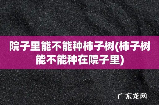 柿子树能不能种在院子里 院子里能不能种柿子树