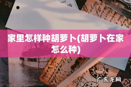 胡萝卜在家怎么种 家里怎样种胡萝卜