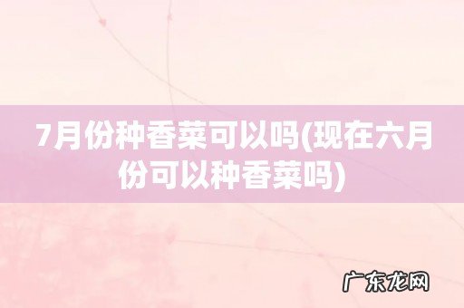现在六月份可以种香菜吗 7月份种香菜可以吗