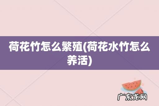 荷花水竹怎么养活 荷花竹怎么繁殖