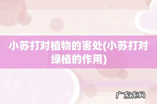 小苏打对绿植的作用 小苏打对植物的害处