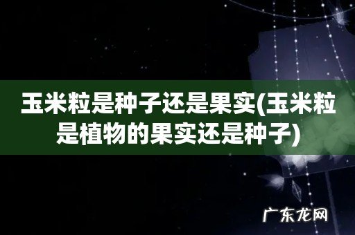 玉米粒是植物的果实还是种子 玉米粒是种子还是果实
